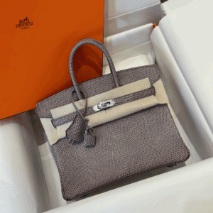 Hermes Birkin 25 Tris Fonce Lizard Like Auth Handbags With Lock Silver 25cm